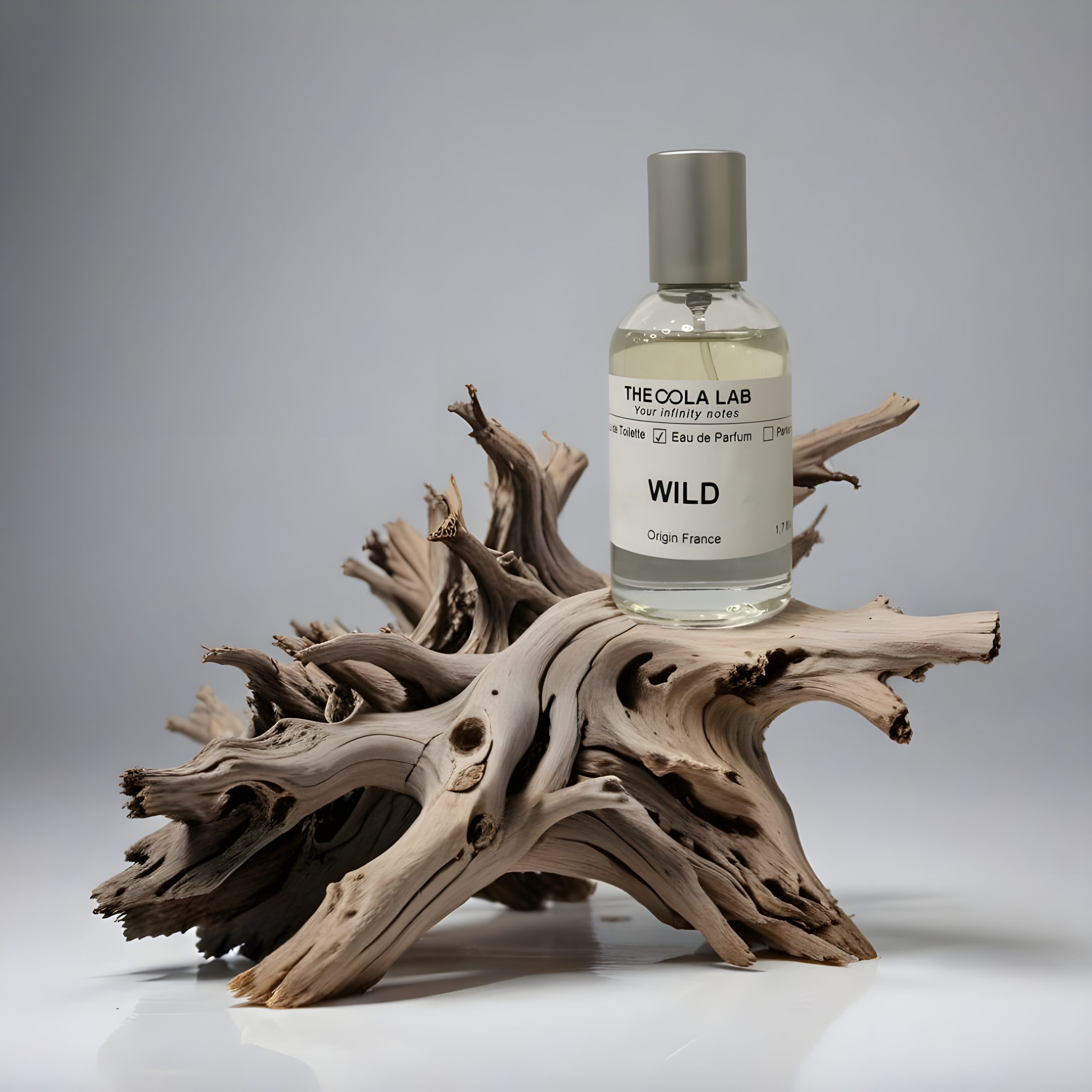 Mùi Hương Nước Hoa Gợi Nhớ Kỷ Niệm