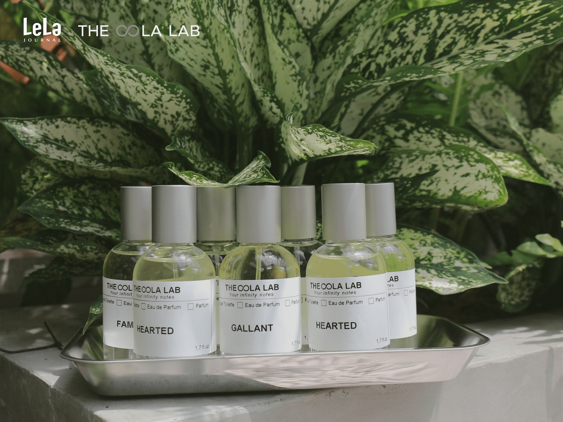 Từ Pháp đến Việt Nam: Ba mảnh ghép làm nên con đường nước hoa của The OOLa Lab