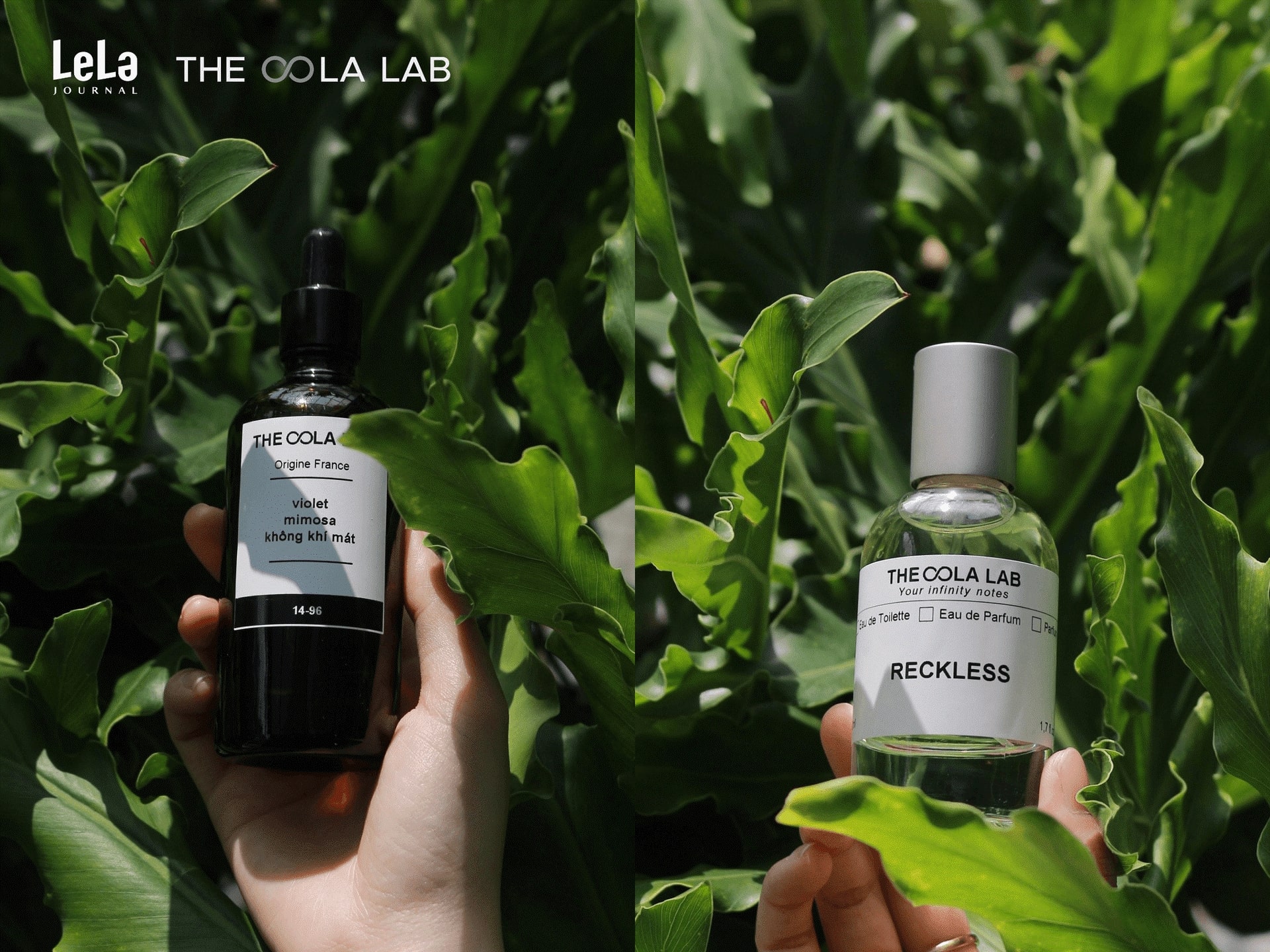 Từ Pháp đến Việt Nam: Ba mảnh ghép làm nên con đường nước hoa của The OOLa Lab