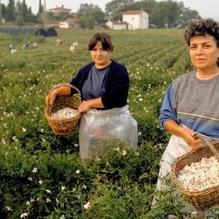 Địa Chỉ Tự Pha Chế Nước Hoa Mà Bạn Không Nên Bỏ Qua