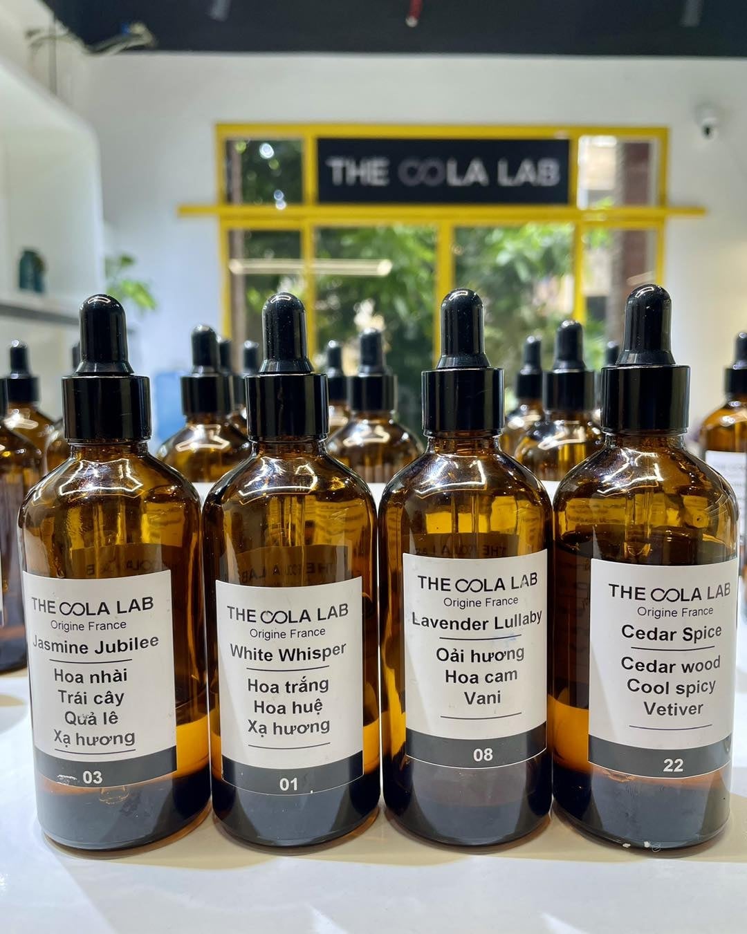 Khám Phá Nước Hoa Hương Hoa Quả (Fruity)