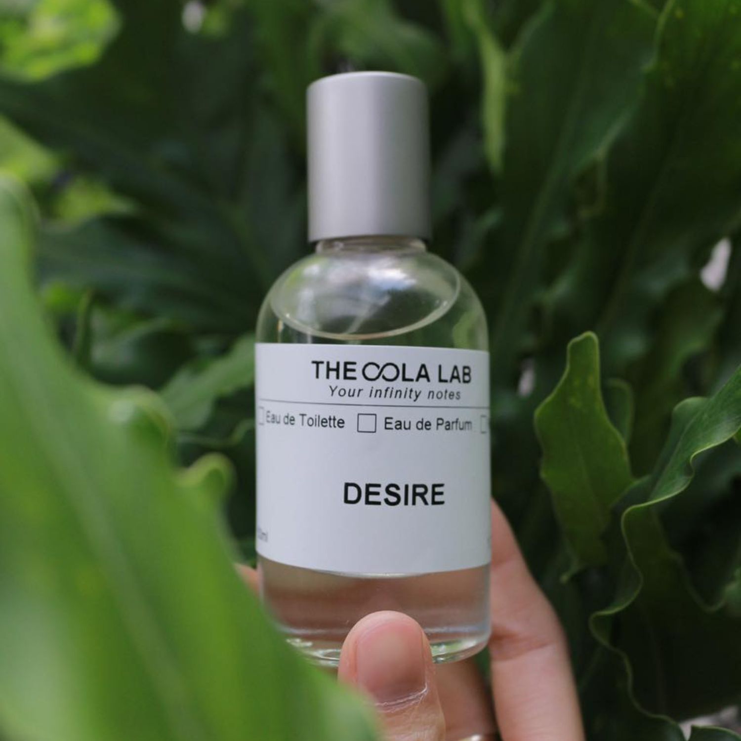 Nước Hoa Và Phong Cách Sống: Khi Hương Thơm Kể Chuyện