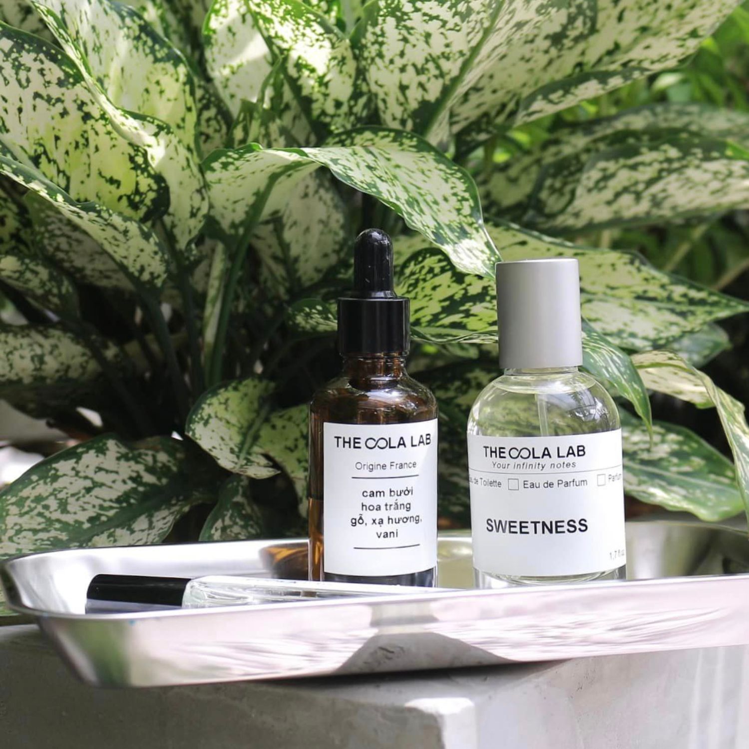 Những Lỗi Thường Gặp Khi Sử Dụng Nước Hoa Và Cách Khắc Phục