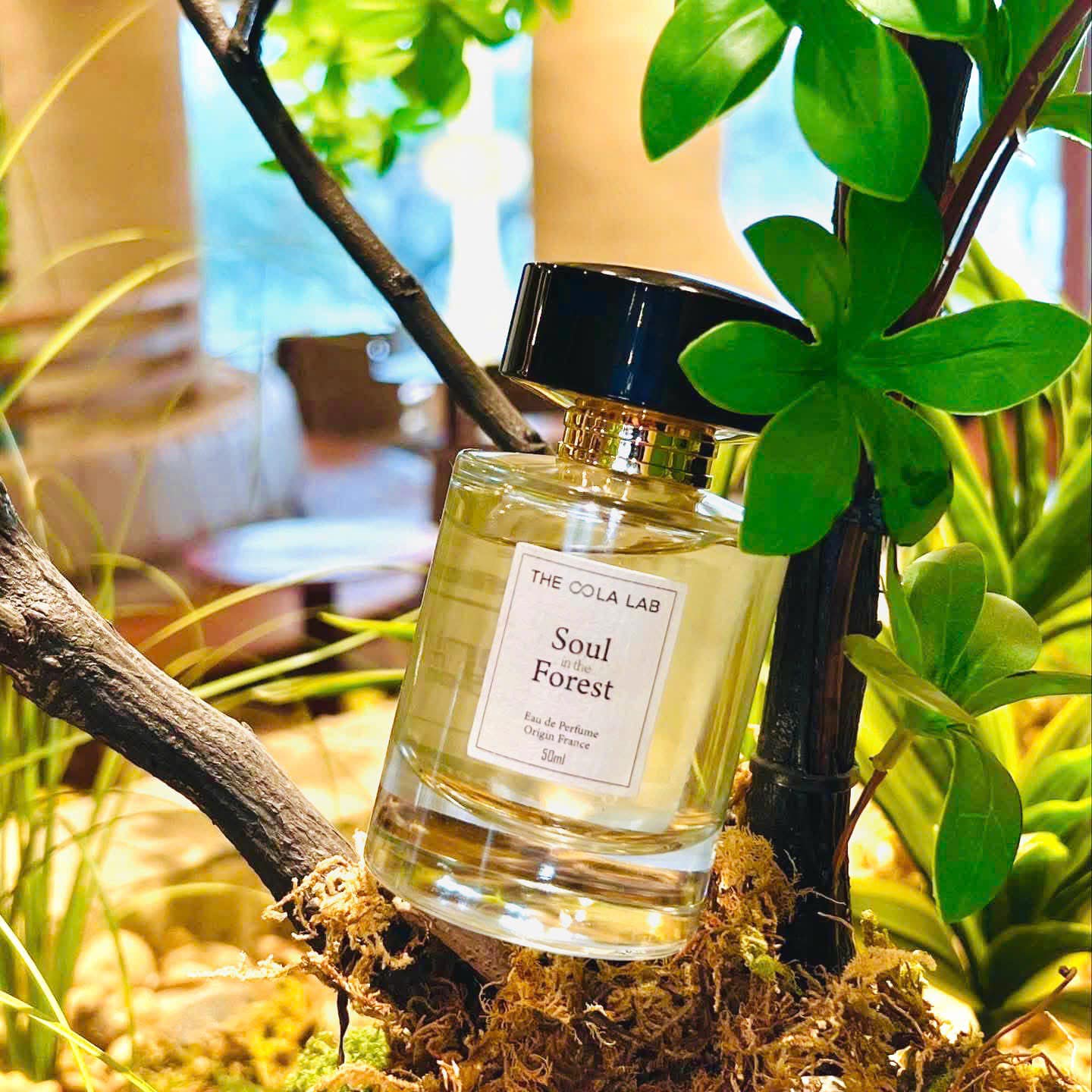 Mùi Hương An Thần: Khi Khứu Giác Dẫn Lối Về Bình Yên