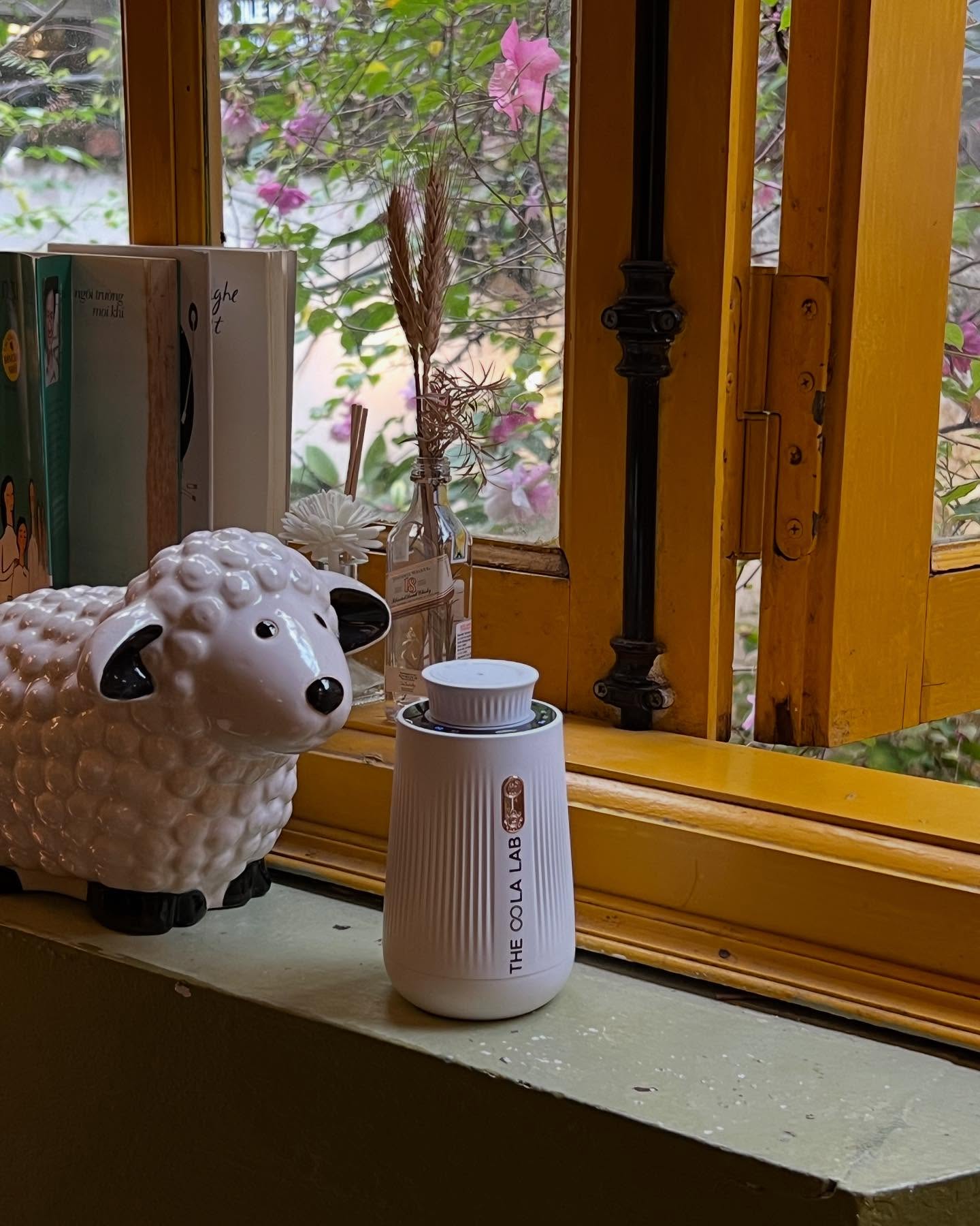 Mùi Hương An Thần: Khi Khứu Giác Dẫn Lối Về Bình Yên