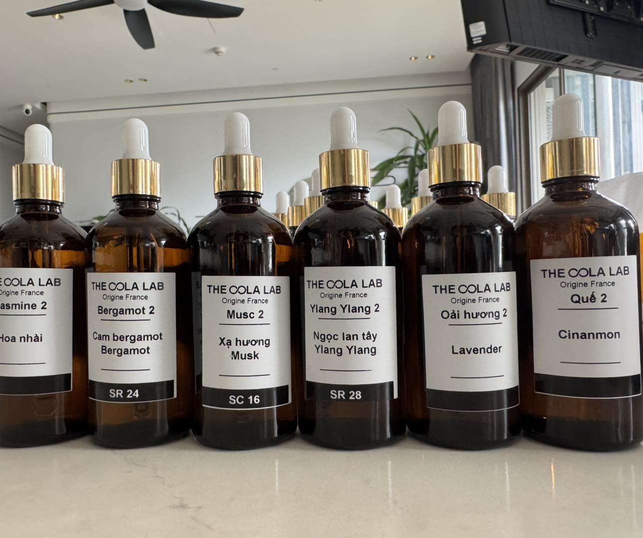 Mùi Hương Giúp Giảm Stress: Khi Khứu Giác Trở Thành Liều Thuốc