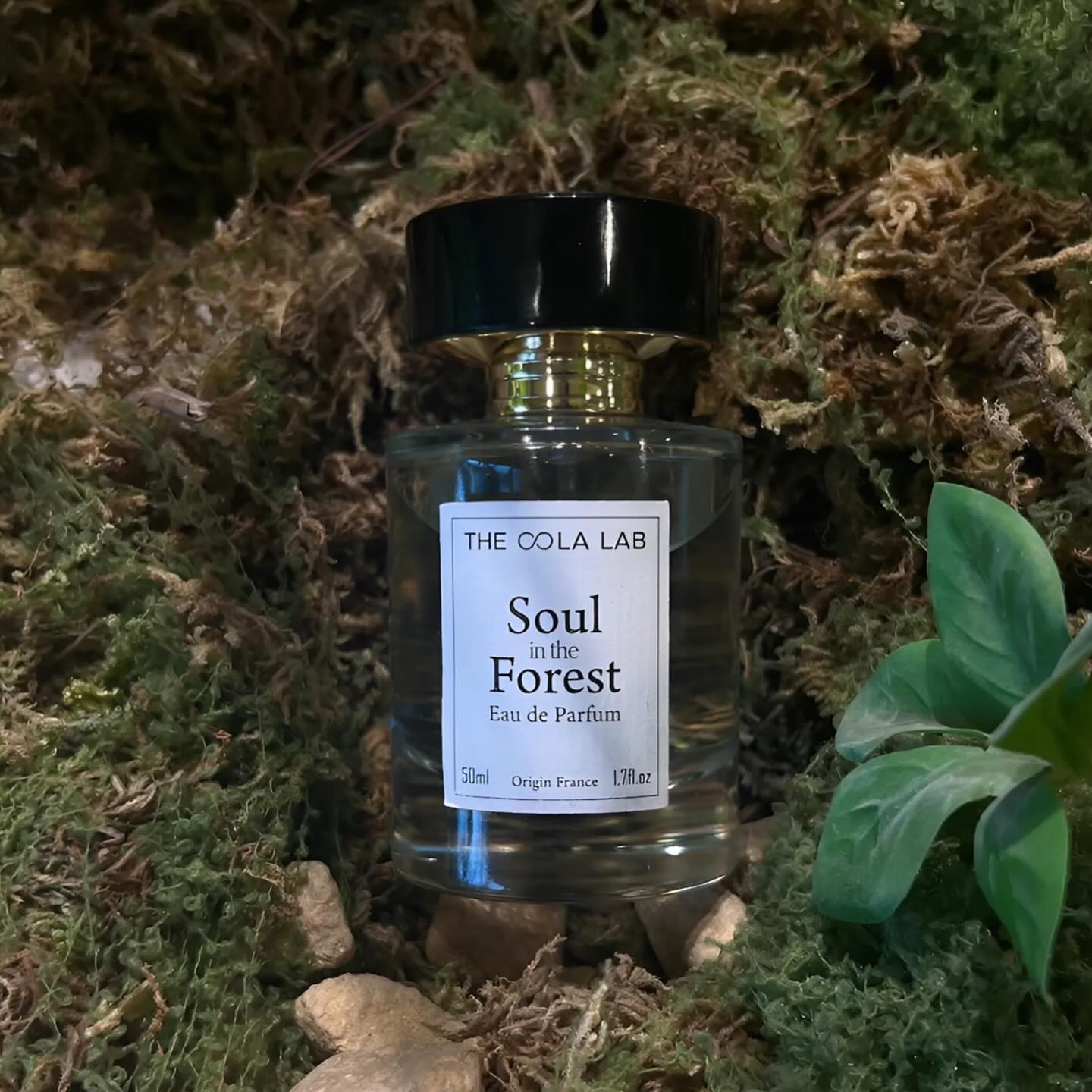 Nước Hoa và Phong Thủy: Mùi Hương Hòa Quyện Với Năng Lượng