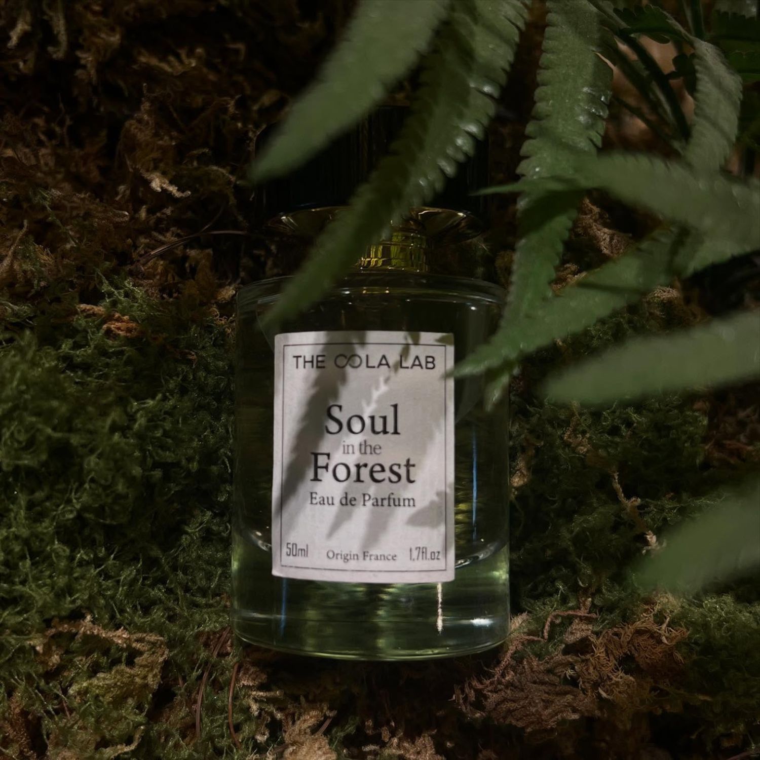 Mùi Hương Giúp Thư Giãn: Cảm Xúc Qua Khứu Giác