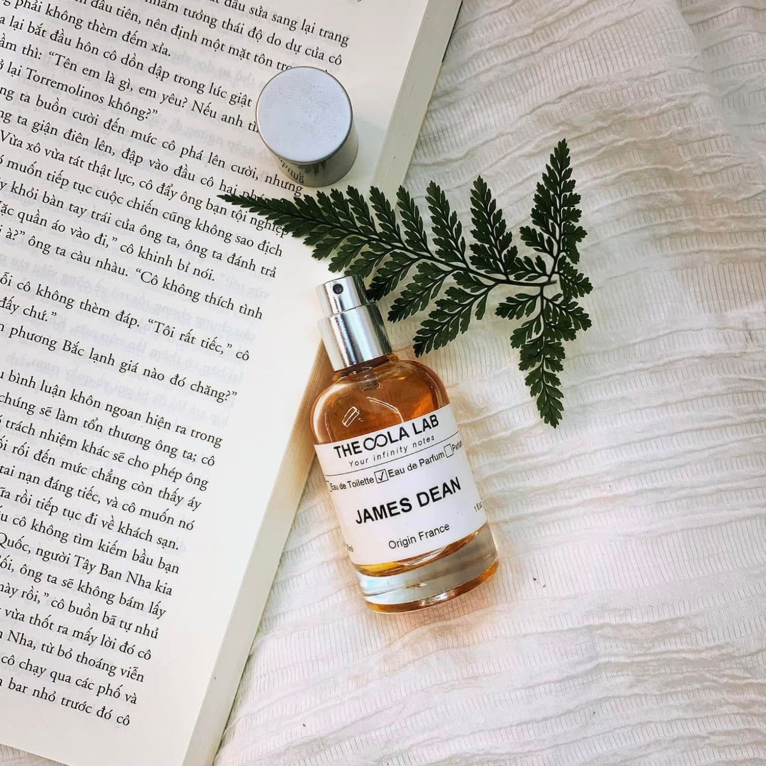 Nước Hoa Niche Và Designer: Hương Thơm Của Sự Khác Biệt