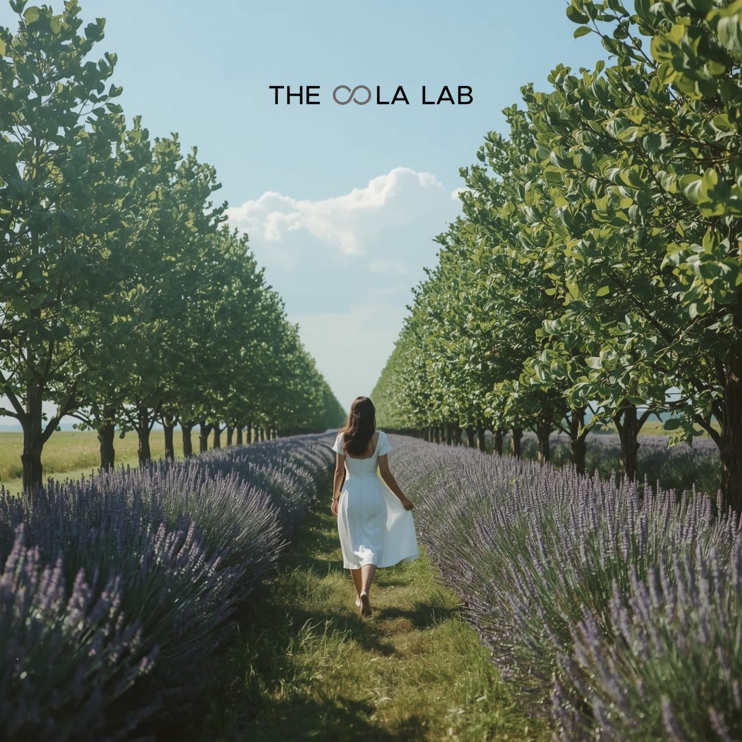 The OOla Lab | Brand Manifesto