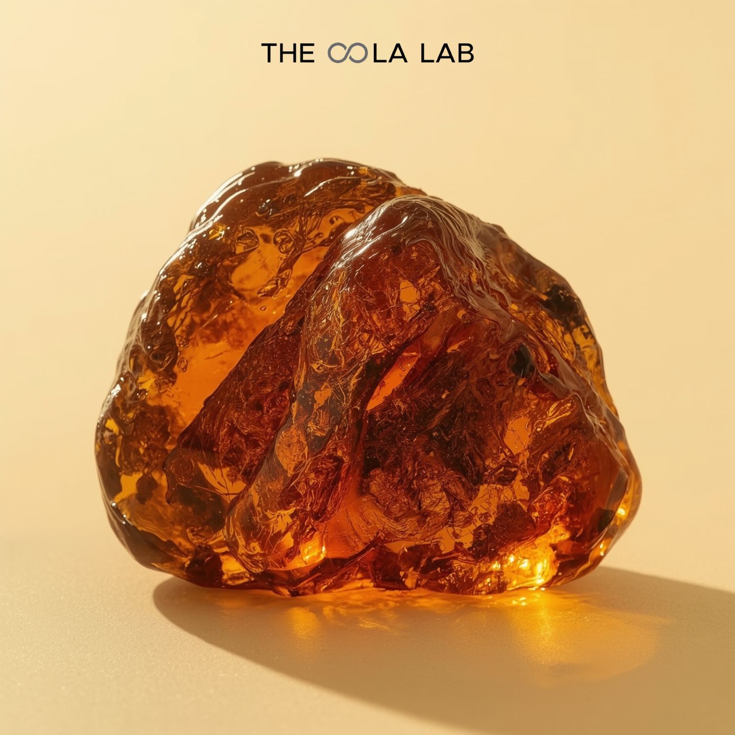 Hương Thơm Amber – Vũ Trụ Ẩn Giấu Trong Giọt Hương