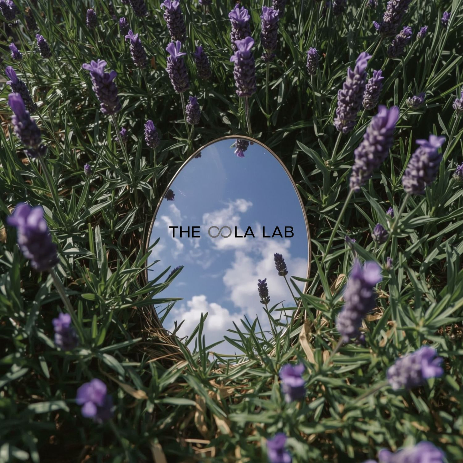 Thơ Về Hương Thơm – Khi Mùi Hương Trở Thành Thi Ca Của Ký Ức